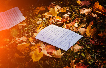 Naklejka na ściany i meble Notes on ground with yellow autumn leaves.