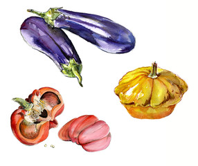 hand drawn watercolor vegetables yellow squash, eggplant, bell pepper on white background