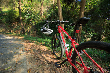 Fototapeta na wymiar mountain bike on forest trail