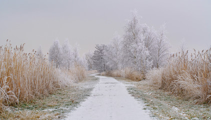 frostige Reiflandschaft