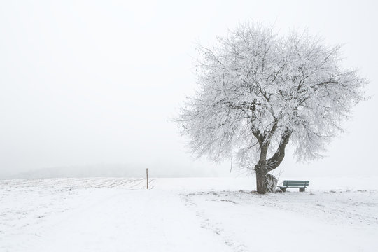 Verschneite Winterlandschaft