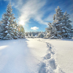 Fußspuren im Tiefschnee © Jenny Sturm