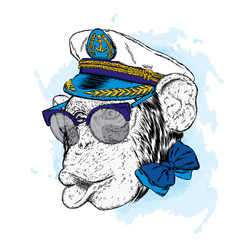 Cute monkey in the captain's cap. Vector illustration.