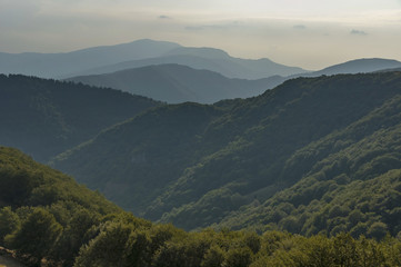 Mountain forest at Central Balkan mountain, Beklemeto or Trojan pass, Stara Planiana, Bulgaria 