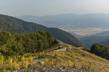 Mountain landscape at Central Balkan mountain with mullein or Verbascum flower, Beklemeto or Trojan pass, Stara Planiana, Bulgaria 