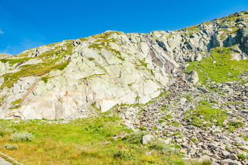 nature of nufenen pass in switzerland