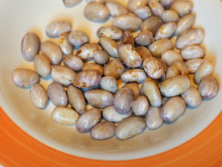 beans legumes vegetables