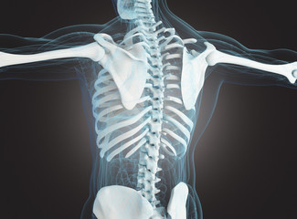 Scheletro di uomo con ossa e spina dorsale in radiografia - obrazy, fototapety, plakaty