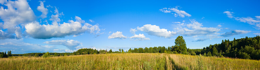 Panorama of clouds and meadow