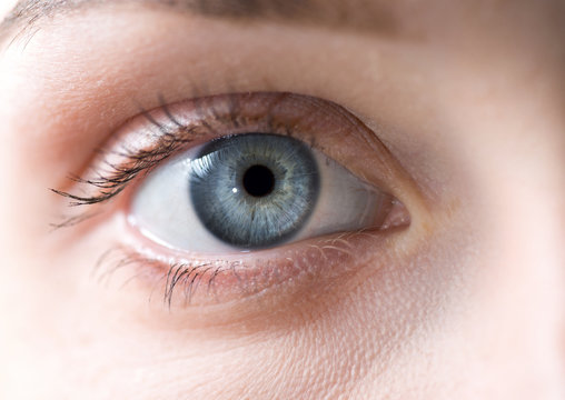 Blue iris eye. Macro shot.