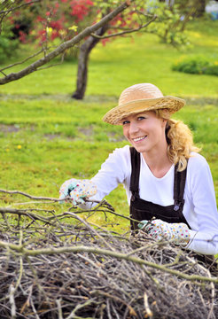 Young woman working in orchard, after tree pruning, pile of cut branches and twigs of fruit trees, cutting branches of apple trees in garden, smiling woman piling up brushwood in spring