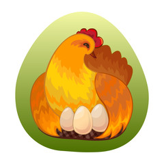 Best chicken egg design