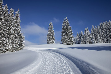 Vorarlberg_Winter_0167