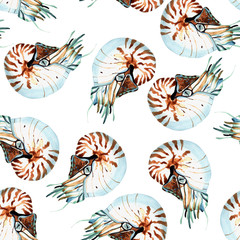 Graphic watercolor nautilus drawing, line drawing dudling, isolated on white background