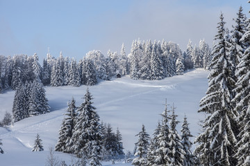 Fototapeta na wymiar Vorarlberg_Winter_0271
