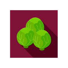 Brussels sprouts flat icon. Vegetable vector