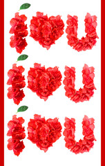 pattern of red azalea flowers and green leaf under it in form of I LOVE YOU on white background isolated