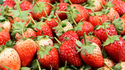 Arrangement fresh strawberry organic for background
