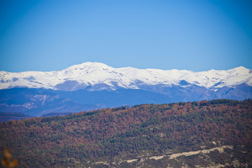 oak and pine forest with a snowed Pyrenean mountains background