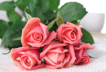 Pink Roses, Flowers on White Background, card for Valentines day, copy space