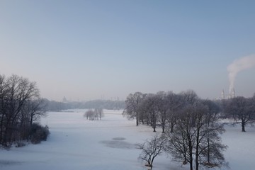 Winter im Englischen Garten in München