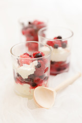 cottage cheese with berries in a glass on a white background