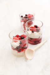 cottage cheese with berries in a glass on a white background