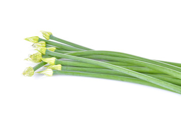 Garlic flowers on a white background