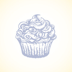 Cake. Vector drawing