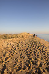 Fototapeta na wymiar people walking on the beach by romantic winter sunset