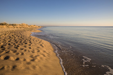 view on a beach at sunset with golden sand an quiet sea