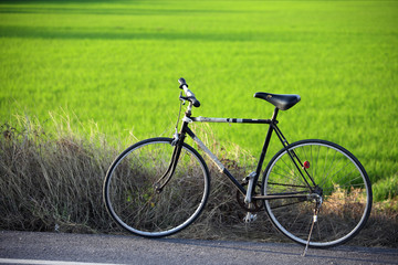 Fototapeta na wymiar vintage bicycle with rural field background.