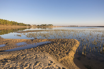 dusk on lagoon at nature reserve Casse de la Belle Henriette after sea went over the dike after the...