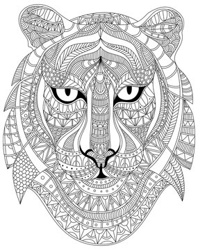 Tiger portrait graphic vector illustration
