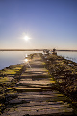 Backlit silhouettes of people walking at sunset by the lagoon in natural reserve Casse de la Belle Henriette, l'Aiguillon sur Mer , Vendee, France