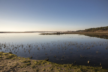 dusk on lagoon at nature reserve Casse de la Belle Henriette after sea went over the dike after the...