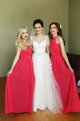 Fototapeta na wymiar Beautiful brunette bride posing with two sexy bridesmaids