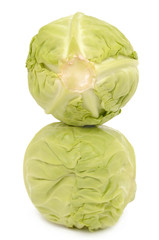 Fototapeta premium Cabbage