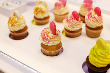 tasty cupcakes   