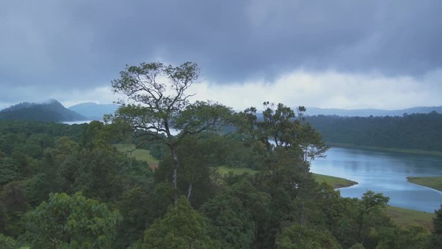 Rain forest lake