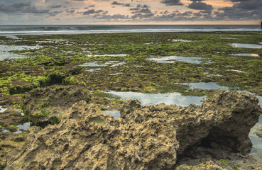 Coral low tide beach