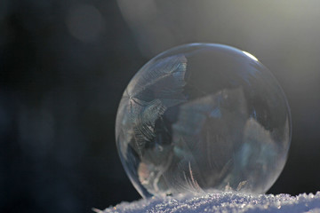 gefrorene seifenblase in winterwald 