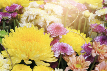 beautiful yellow, pink, white and orange chrysanthemum bouquet c