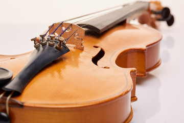 Obraz premium Violin.