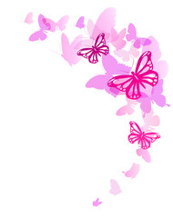 Obraz na płótnie Canvas beautiful butterfly, on a white
