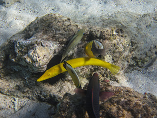 Hurghada