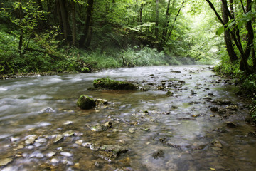 Gauchachschlucht im Schwarzwald