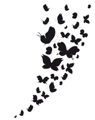 Obraz na płótnie Canvas black butterfly, on a white