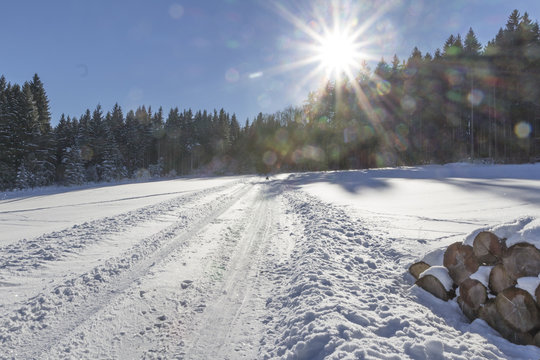 Ein schneebedeckter Weg mit festgefahrenem Schnee im Winter an einem sonnigen Tag  mit Schlittenfahrern
