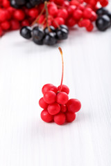 Schisandra chinensis or five-flavor berry.
